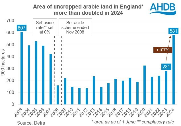 Chart showing the area of uncropped arable land in England from 2003 to 2024